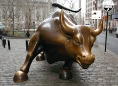 Wall Street Bull